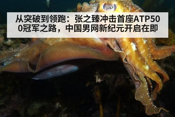 从突破到领跑:张之臻冲击首座ATP500冠军之路,中国男网新纪元开启在即